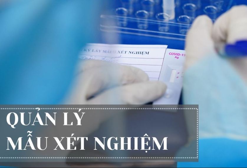 Quy định quản lý mẫu xét nghiệm của Bộ Y Tế